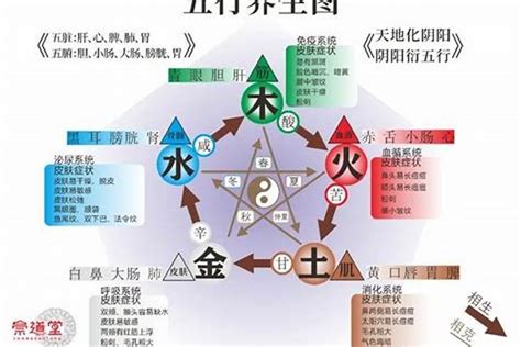 五行缺木土|五行缺土